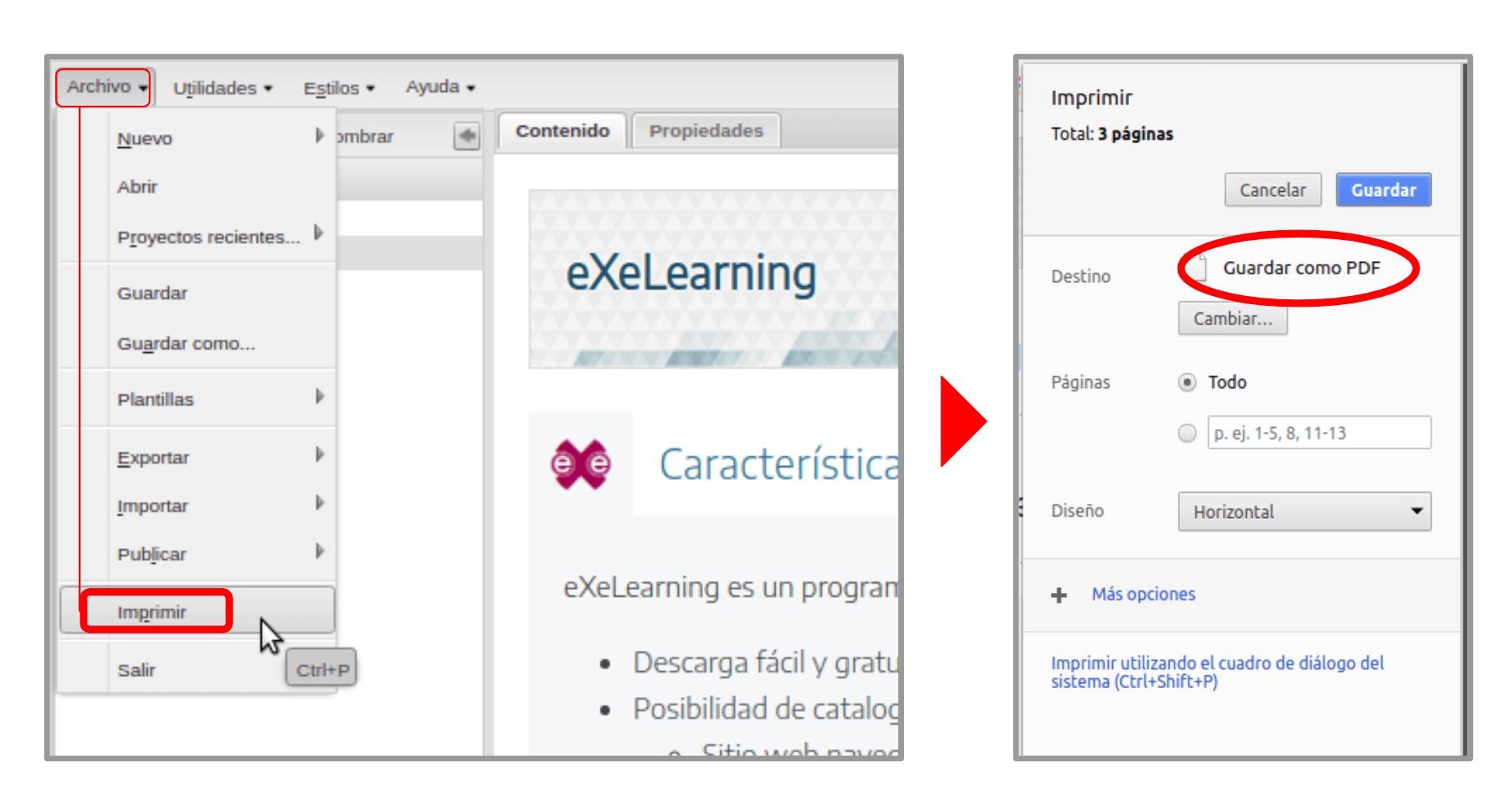 imprimir / exportar a PDF